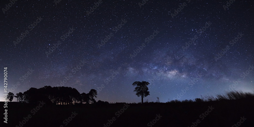 Panorama milky way and silhouette of tree at Khao Kho, Phetchabun, Thailand, Long exposure photograph.with grain