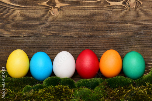 Canvas Print painted easter colorful eggs with green moss on wooden background