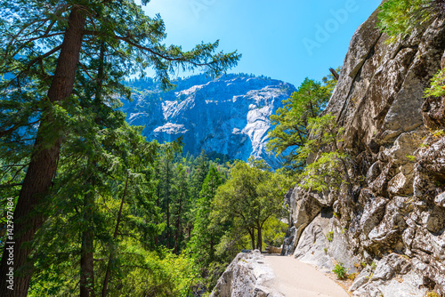 Fototapeta Naklejka Na Ścianę i Meble -  USA United States Yosemite National Park California / Way