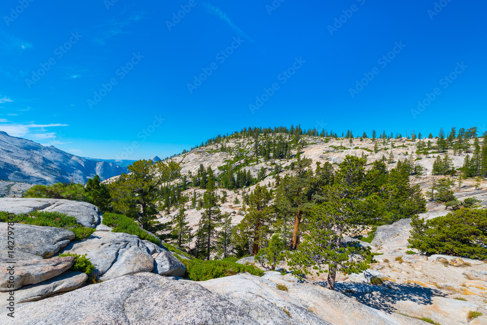 USA United States Yosemite National Park California