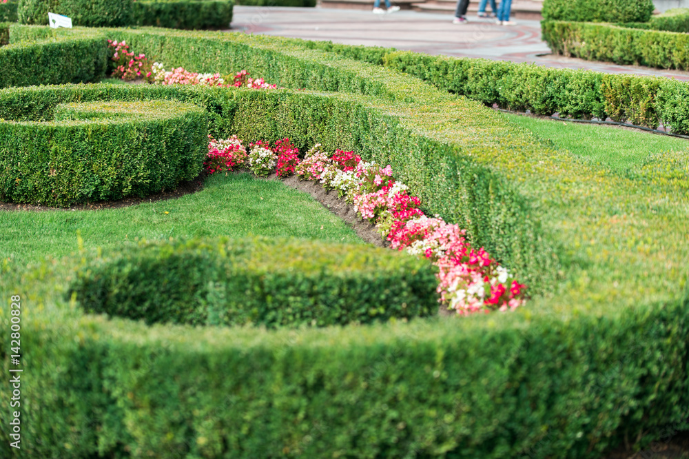 landscaping lawns with flowers in the park landscaping lawns with flowers in the park