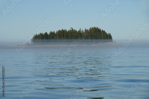 An island covered with coniferous forest surrounded with water and fog