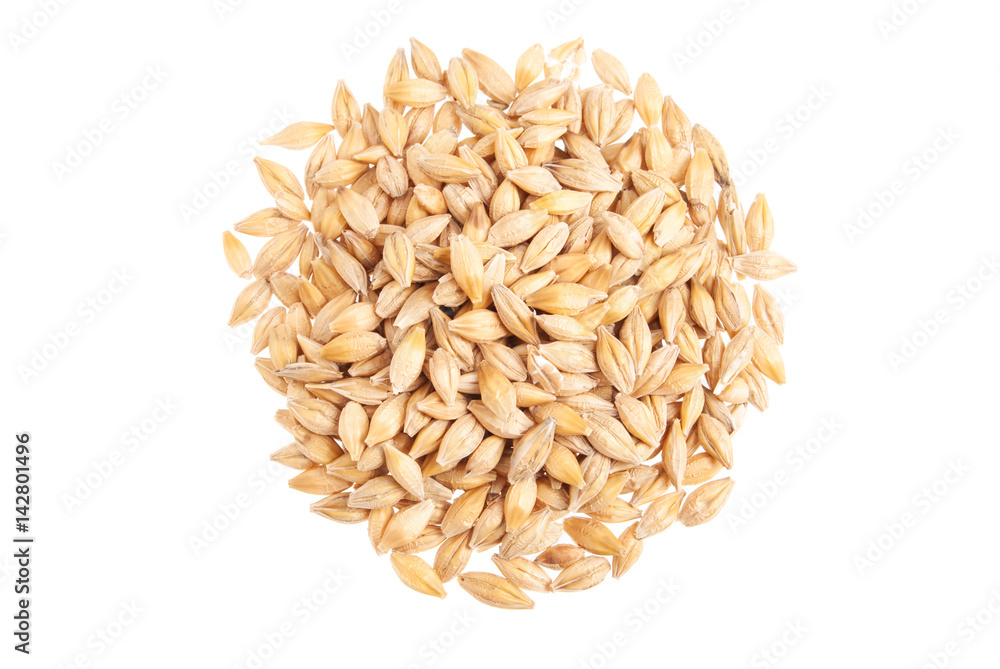 Barley seeds isolated on white Barley seeds isolated on white