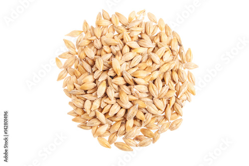 Barley seeds isolated on white