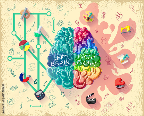 Cartoon Human Brain Diagram Concept