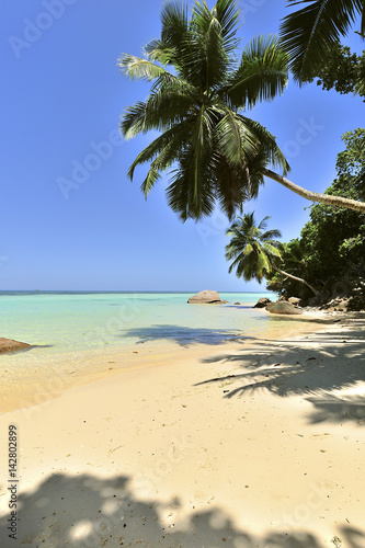 Beach Anse a la Mouche on Mahe  Seychelles