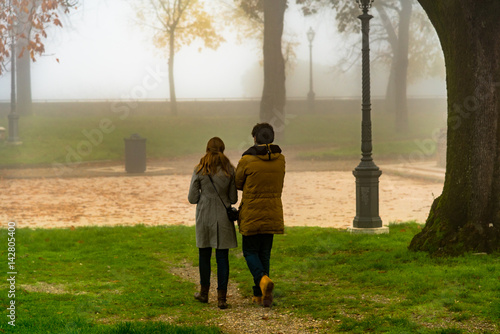 autumn park with fog and trees