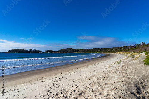 Fototapeta Naklejka Na Ścianę i Meble -  Beach landscape of sand sunlit ocean coast