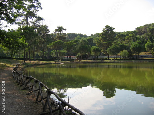Parco cittadino di Villa Ada a Roma in Italia.