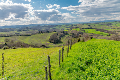 trees and houses in the green hills of Tuscany in spring