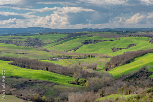 trees and houses in the green hills of Tuscany in spring © DD25