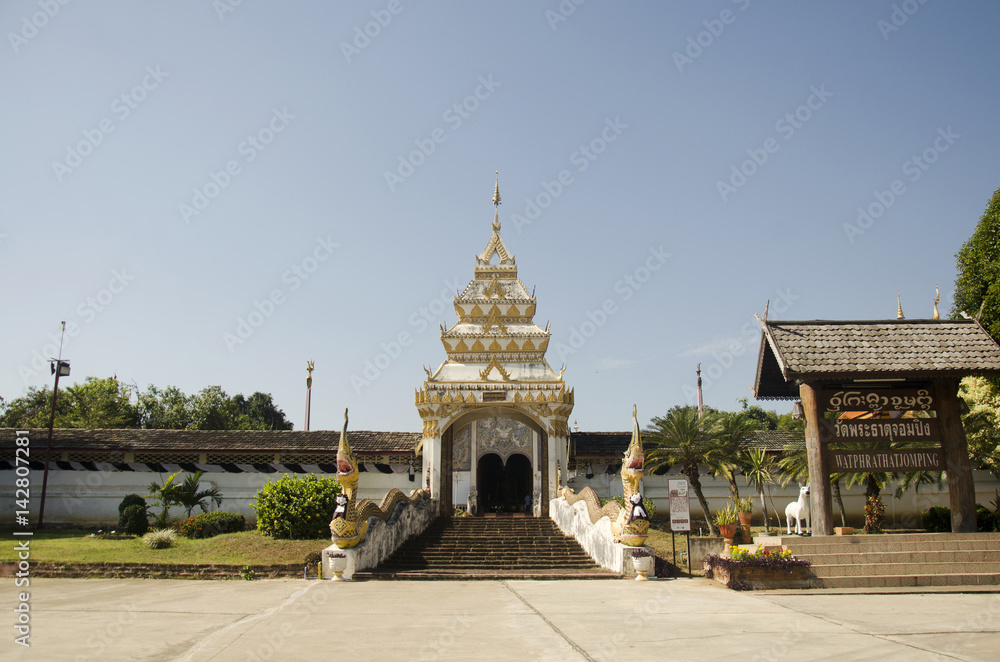 Gate entrance with naga staircase for people walking go to praying and visit chedi at Wat Phra that chom ping
