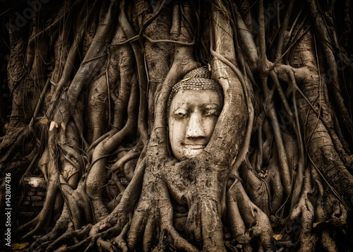 Canvas Print Buddha head in roots