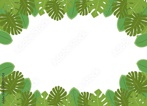 南国の植物・葉っぱのフレーム・コピースペース・背景素材　白背景・ベクター　長方形
