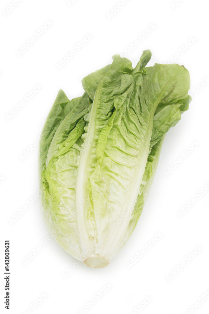 Cespo di insalata isolato su sfondo bianco. Lattuga verde Cespo di insalata isolato su sfondo bianco. Lattuga verde