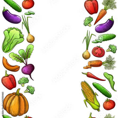 Colorful sketch style seamless vertical borders of vegetables. Eco organic fresh template with vegetables for the decoration of menu. Vector.