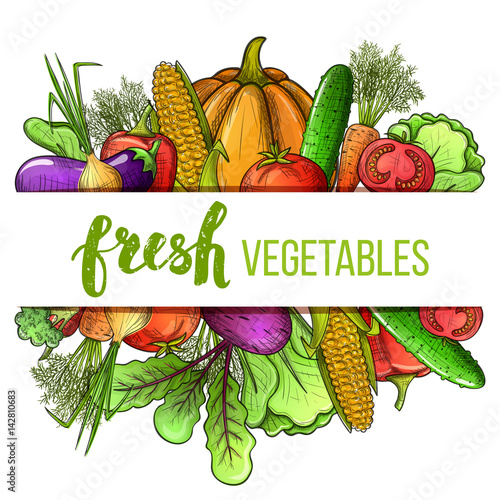 Colorful sketch style set of vegetables icons. Eco organic fresh template with vegetables for the decoration of menu. Vector.