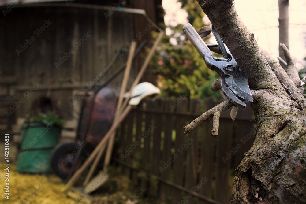 Obraz premium Gardening Tools on House Yard