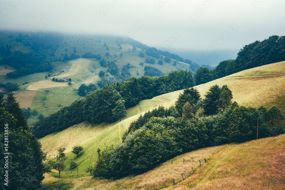 Dreamy mountain landscape with picturesque village houses covered in fog. Germany, Muenstertal, Black forest. Travel background.