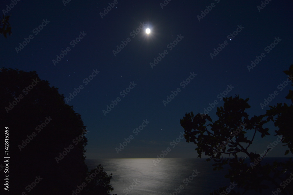 Night landscape with tree on the high hill and mountains, sea and moon are as background. Night landscape with tree on the high hill and mountains, sea and moon are as background.