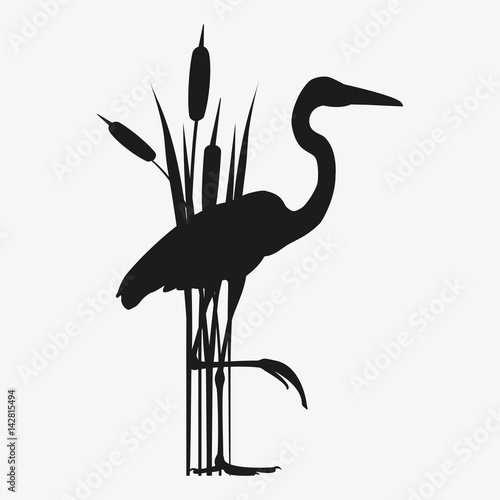 Fototapeta heron vector silhouette