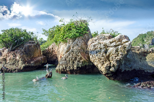 Karibischer Traumurlaub: Pelikane auf Los Haitises / Samara / Dominikanische Republik :)