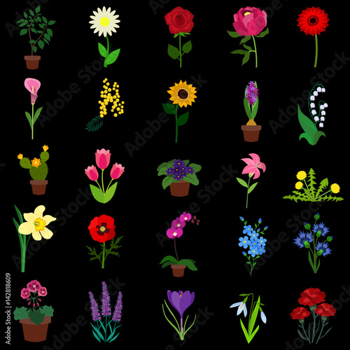 Flowers flat icon set