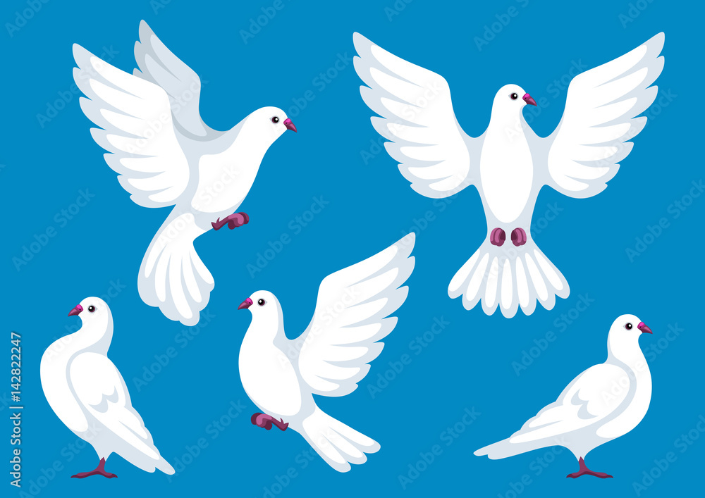 Set of five white doves. Beautiful pigeons faith and love symbol Set of five white doves. Beautiful pigeons faith and love symbol