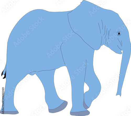 Portrait of a cute african elephant calw, hand drawn vector illustration isolated on white background