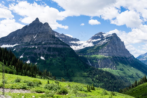 Alpine scenery along Going-to-the-Sun road in Glacier National Park  USA