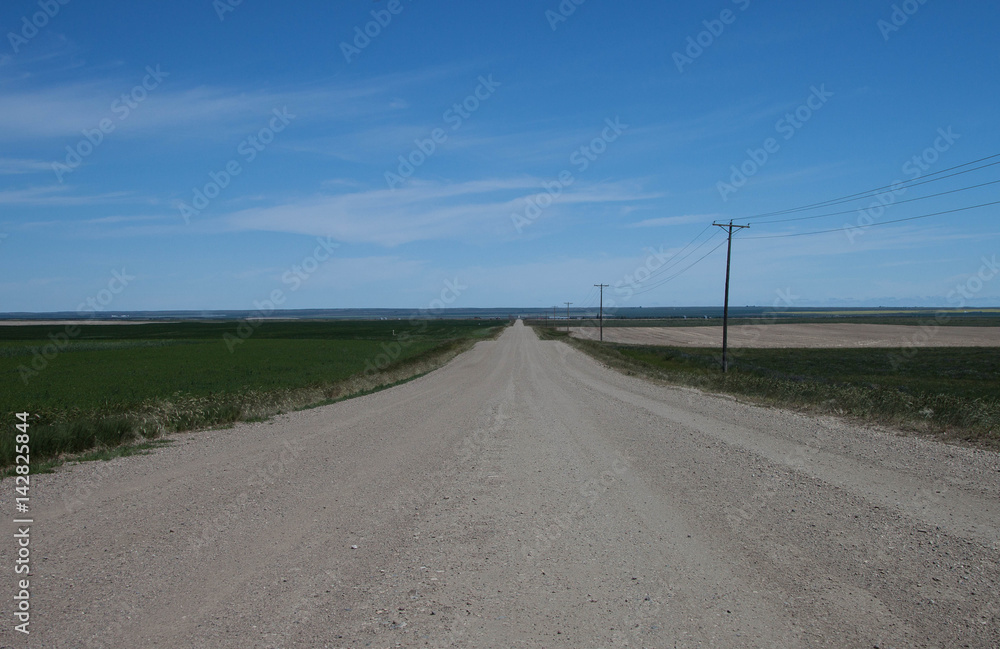 Montana road to nowhere