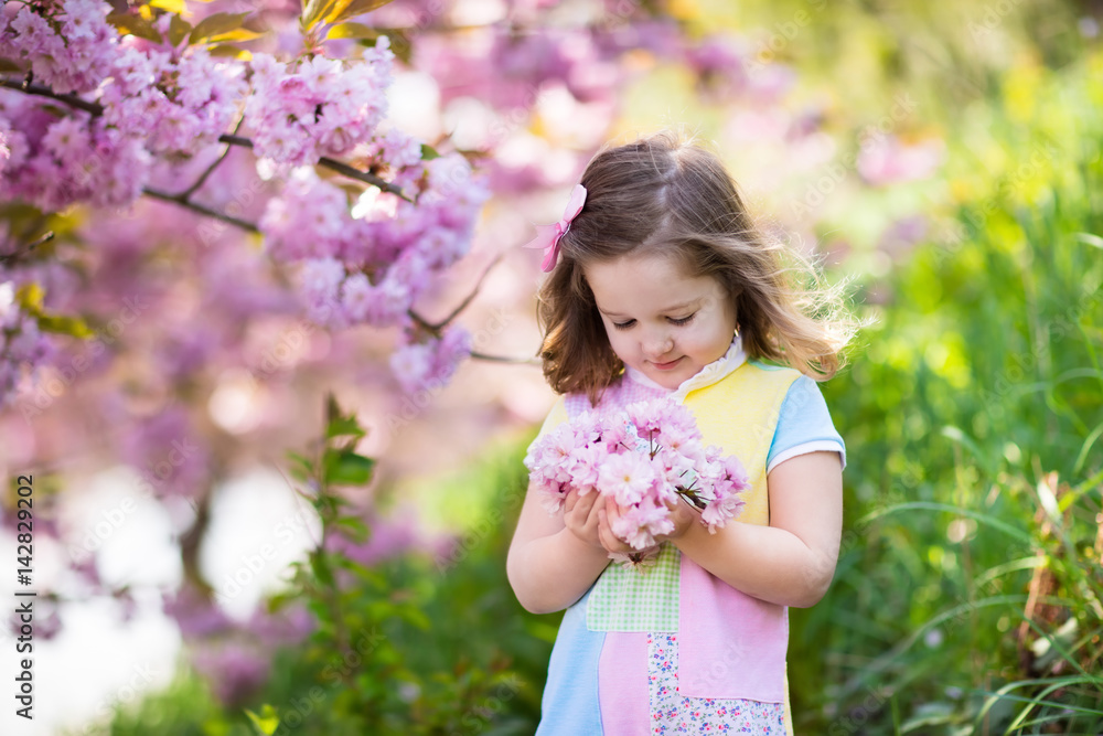 Little girl with cherry blossom Little girl with cherry blossom