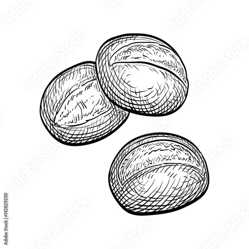 Vector illustration of buns