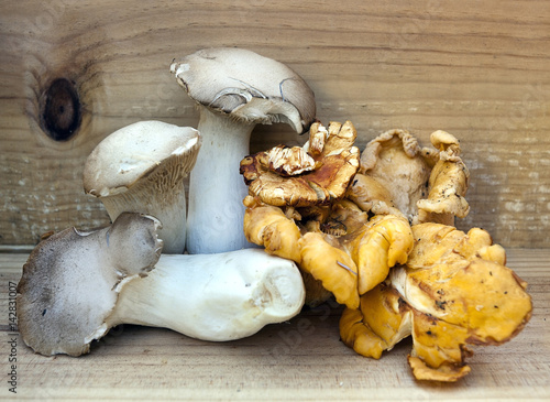King trumpet and chanterelle mushrooms.