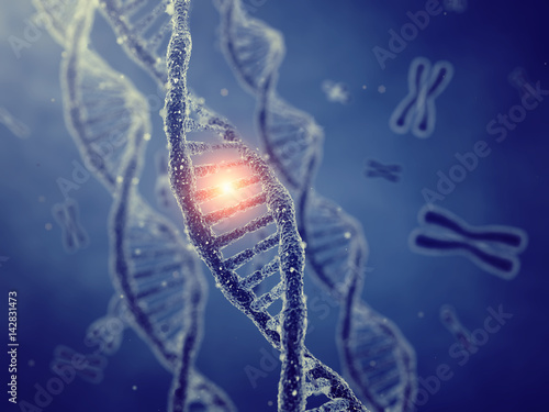 Dna double helix molecules and chromosomes , Genetic code and Gene mutation