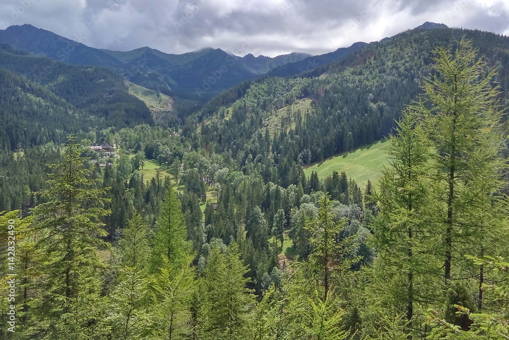 Mountain landscape with fir-trees. View from Mount Nosal, Tatry, Poland. Sunny summer day.