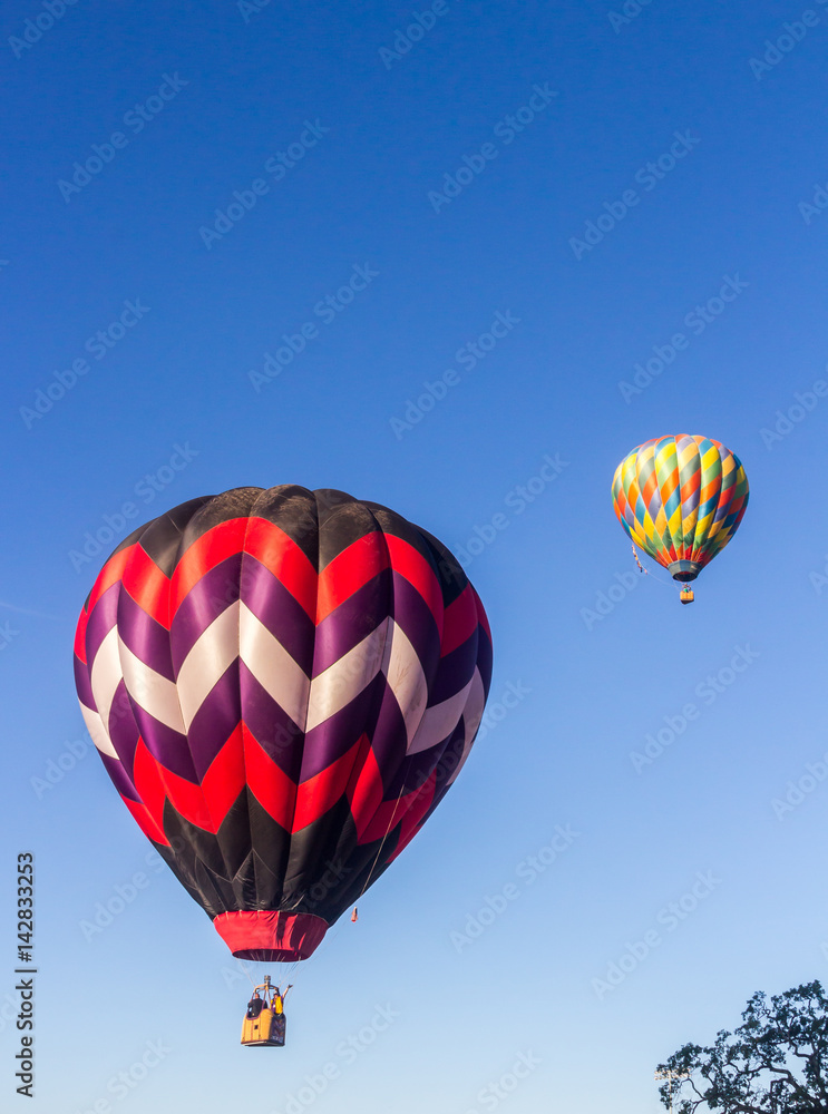 Fototapeta premium Two Hot Air Balloons Rising in the Morning Air