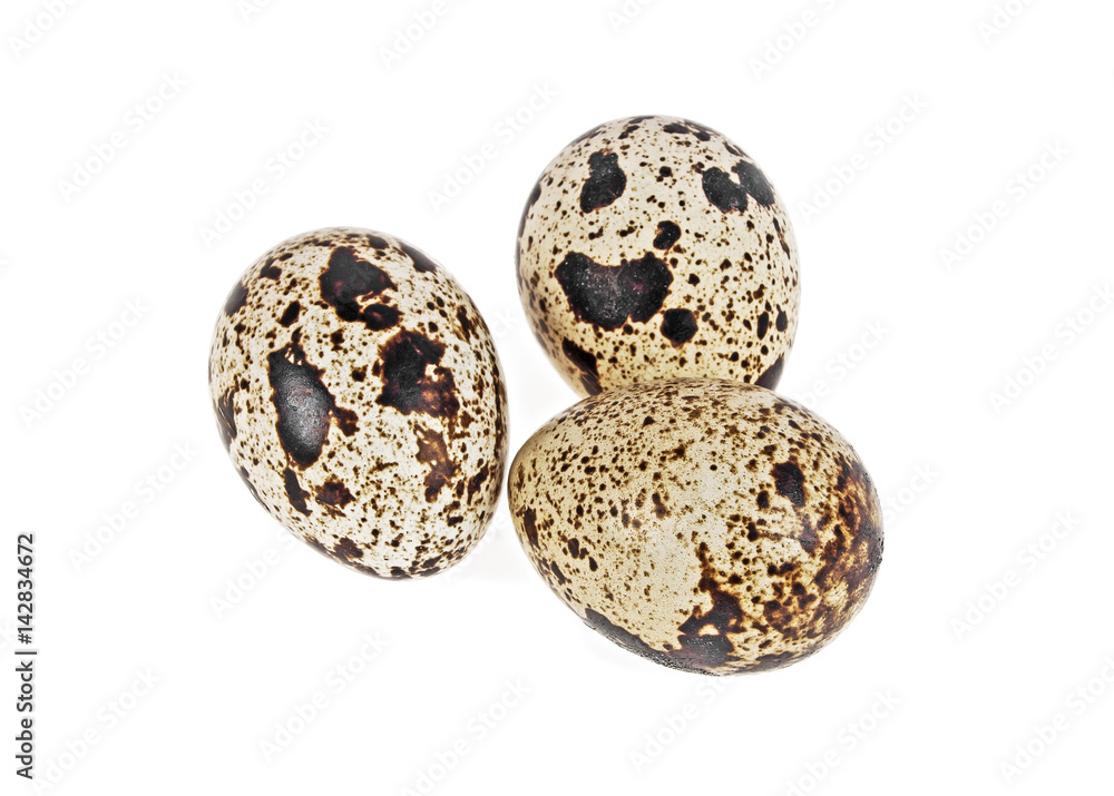 Three quail eggs on a white background Three quail eggs on a white background