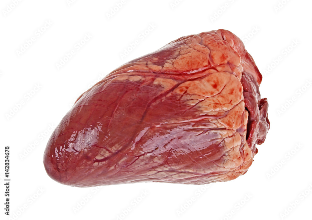 Fototapeta premium Beef heart isolated on a white background