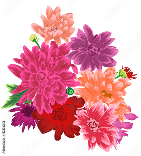 Delicate Chrysanthemum flower bouquet isolated.