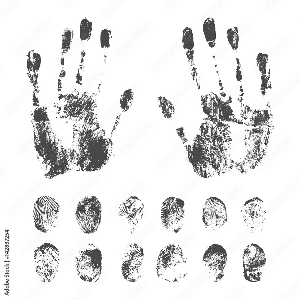 Set of Black Fingerprints on White Background Set of Black Fingerprints on White Background