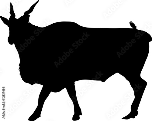 Silhouette of a standing eland antelope, hand drawn vector illustration isolated on white background