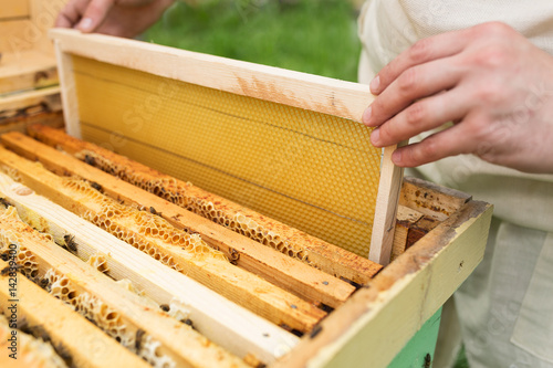 The beekeeper places the hive a new framework for honey. Honeycomb.