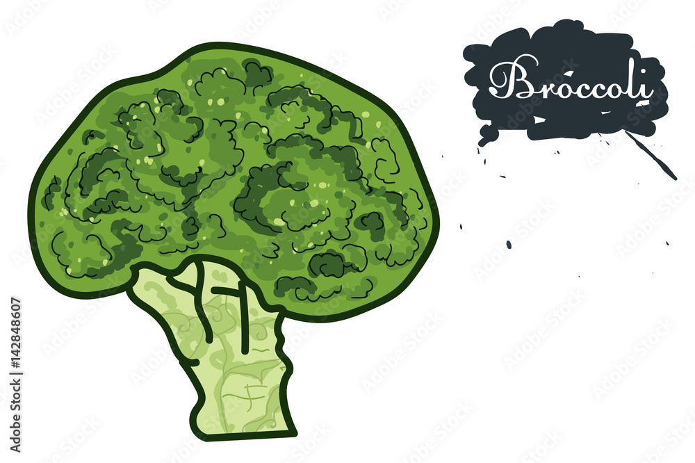 branch green broccoli.vegetariana food. branch green broccoli.vegetariana food.