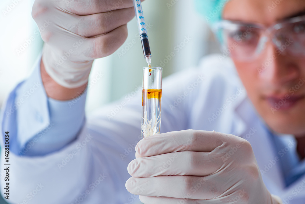 Biotechnology scientist working in the lab Biotechnology scientist working in the lab