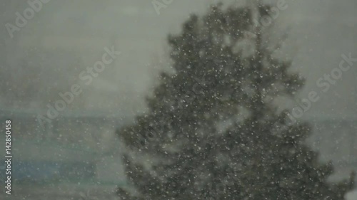 A snowstorm in the city and a tree in defocus