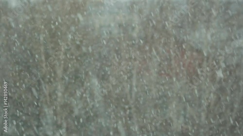 A snowstorm in the city, large