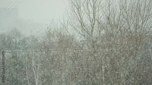 A snowstorm in the city