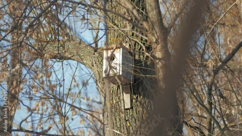 Birdhouse