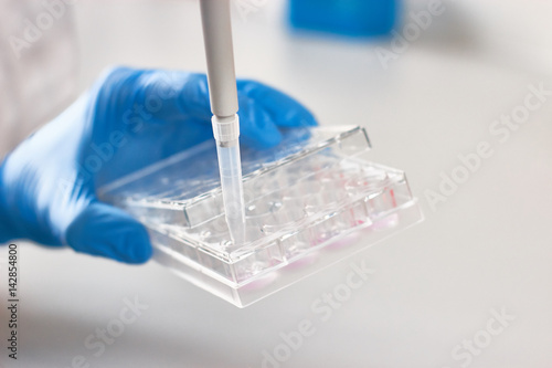 Scientist pipetting liquids for research